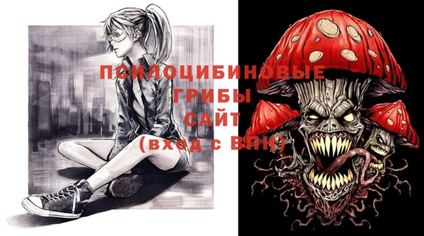 гидра Волоколамск