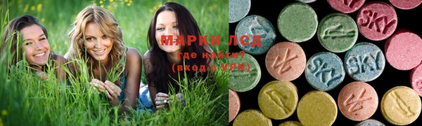 хмурый Вяземский