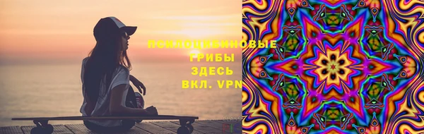 хмурый Вяземский