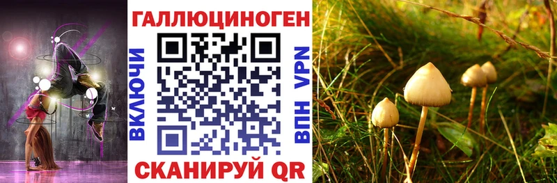 Галлюциногенные грибы Cubensis  где найти   Дагестанские Огни 